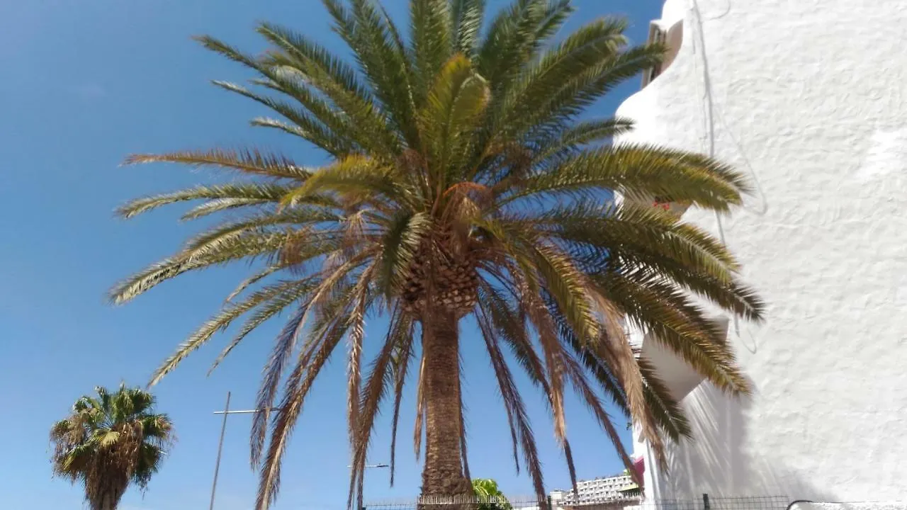 Sweet House Apartment Puerto Rico   Puerto Rico (Gran Canaria)